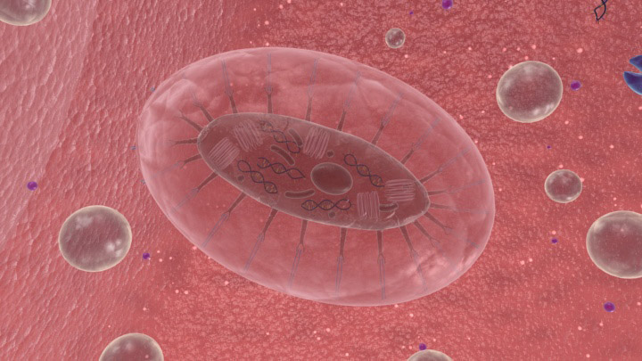 Scientific Visualization