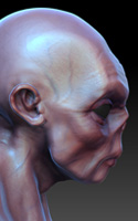 Alien Head Concept