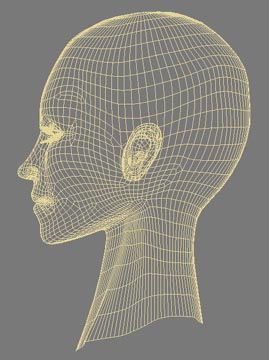 Wireframe Mesh of 3d Head Model